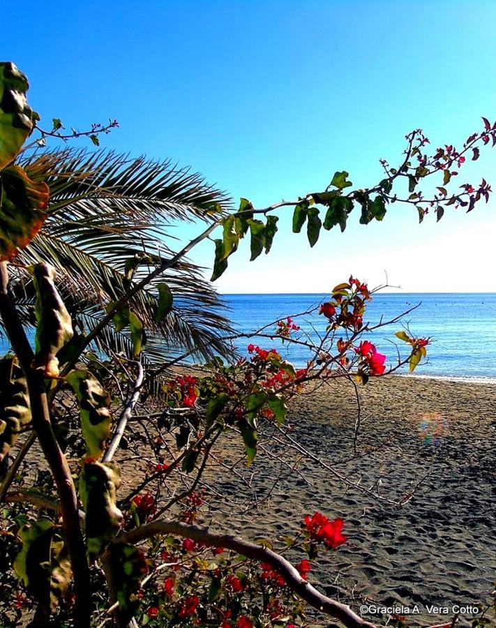 La Palmera. El Amanecer En El Parque Natural Agua Amarga  Exterior foto